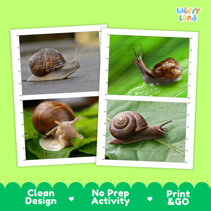 Snail Cut and Match Activity Printables Worksheets