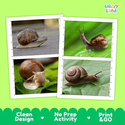 Snail Cut and Match Activity Printables Worksheets