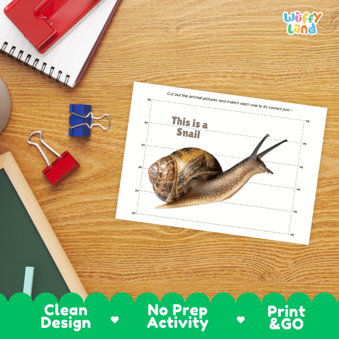 Snail Cut and Match Activity Printables Worksheets