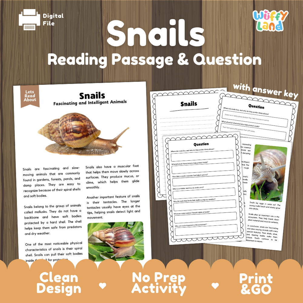 Snails Reading Passage and Comprehension Questions with Answer Key