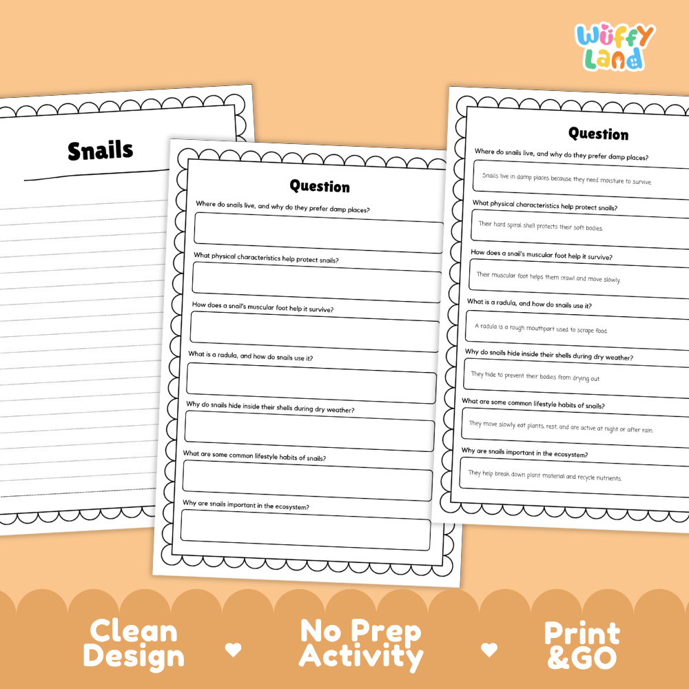 Three printable educational activity sheets for children about sea snails, shown on a peach background with the text 'Clean Design', 'No Prep Activity', and 'Print & GO'. The sheets have black text and lined writing areas with decorative scalloped borders.