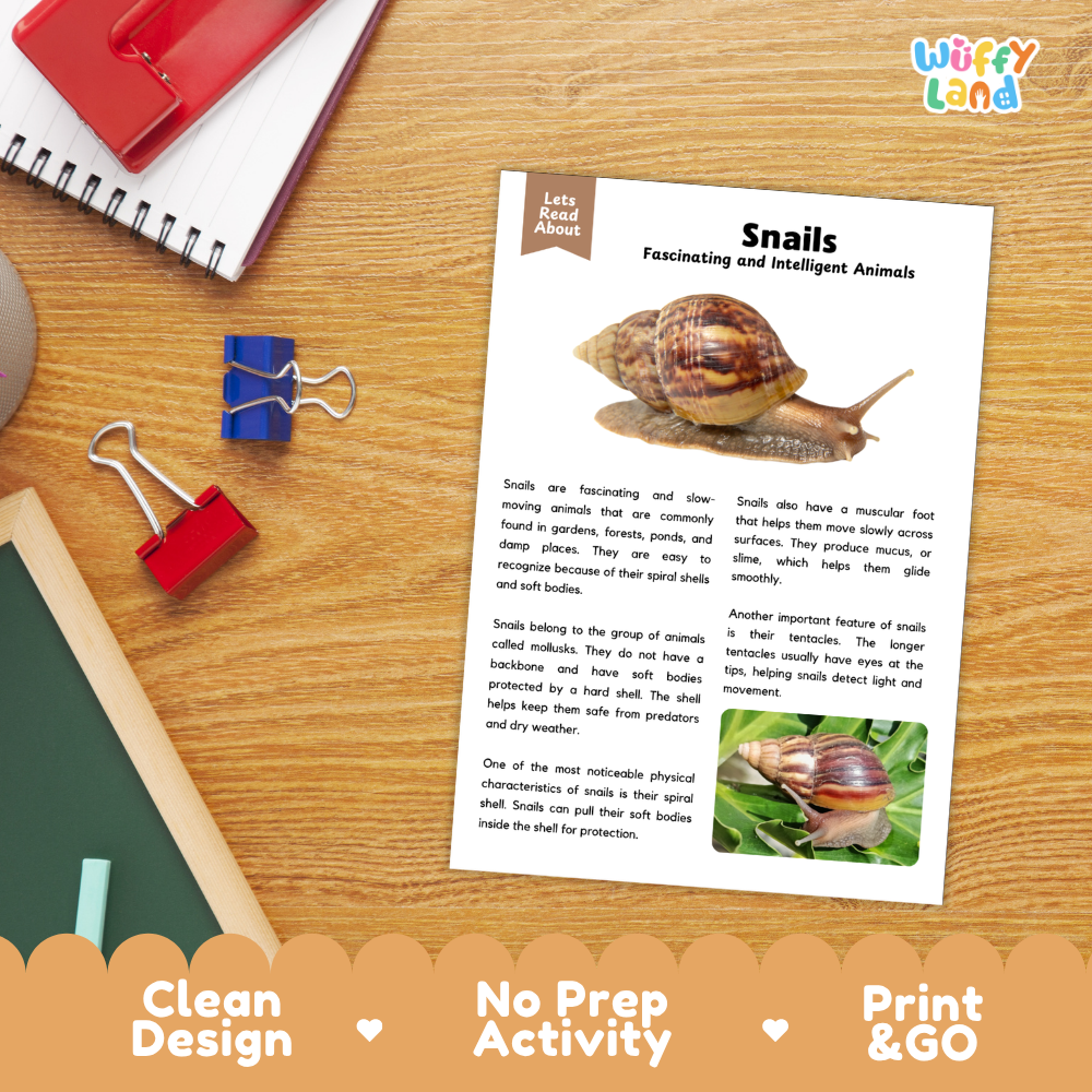 Snails Reading Passage and Comprehension Questions with Answer Key