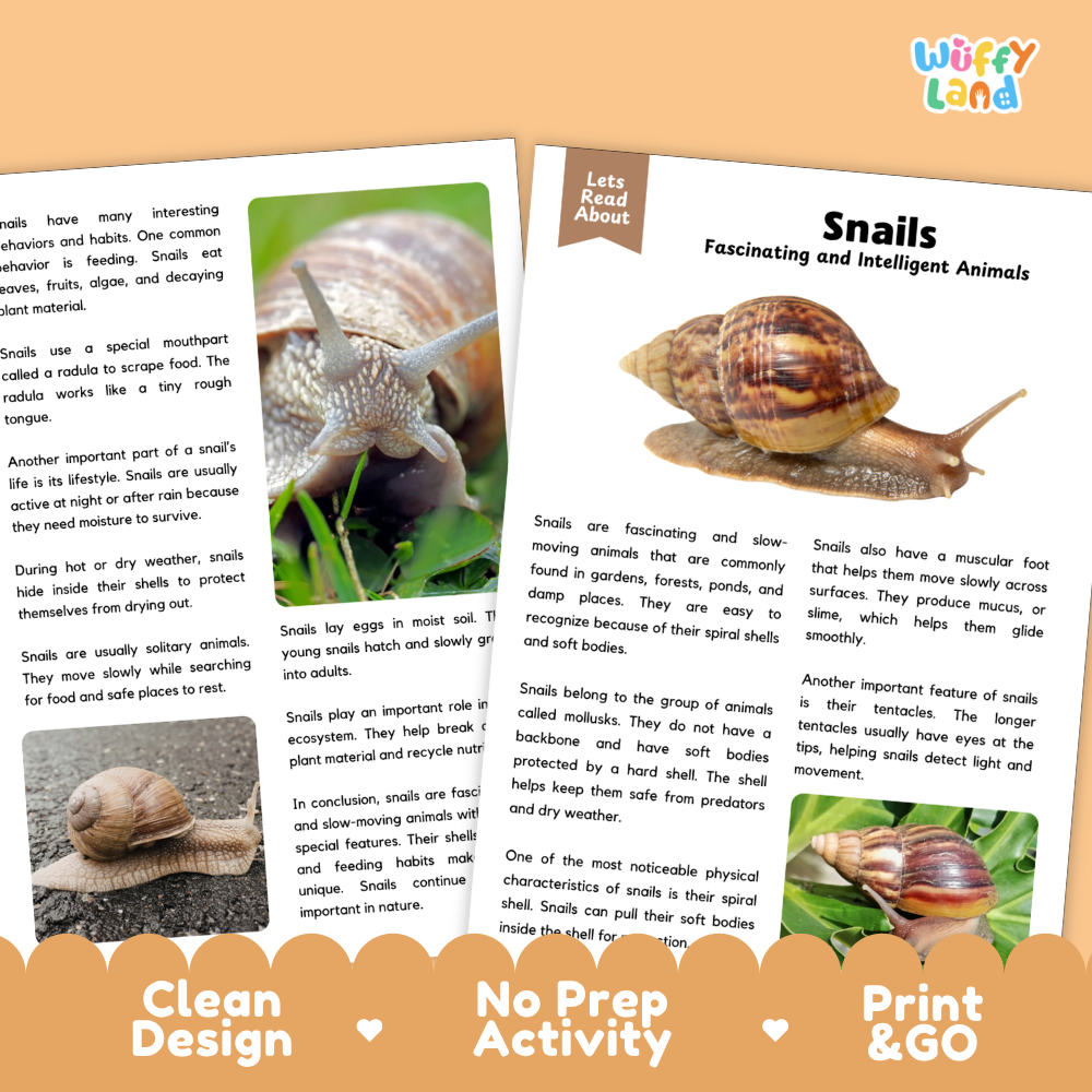 Snails Reading Passage and Comprehension Questions with Answer Key