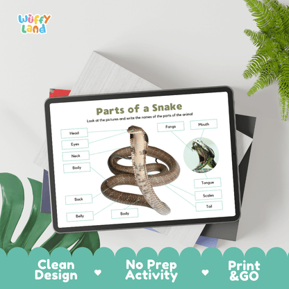Hands-on snake anatomy cut and paste worksheet with printable word tags, callout pointer lines, and scissors graphic