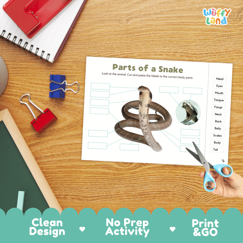 Differentiated snake body parts labeling worksheets featuring fill-in write-in boxes and vocabulary word bank