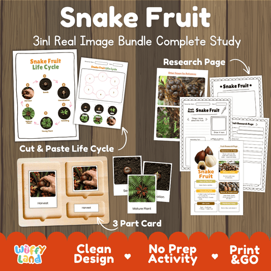Snake fruit palm life cycle 3in1 real image bundle complete study overview featuring cut and paste worksheets, Montessori 3-part cards, and research pages from Wuffy Land 🐍🌱