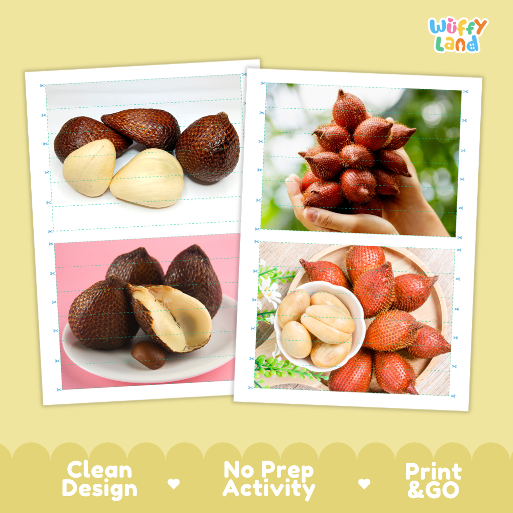 Printable activity sheets featuring photographic snake fruit puzzle boards and cutting guides