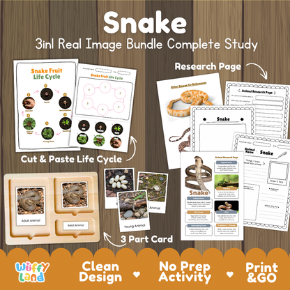 Snake 3-in-1 real image bundle complete study cover showing cut and paste life cycle, 3 part cards, and research pages