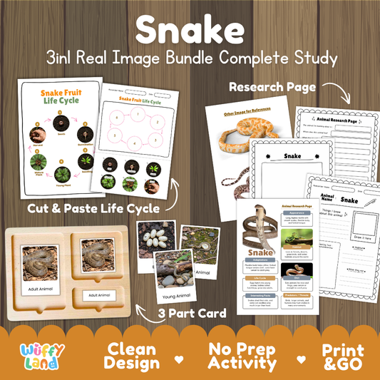 Snake 3-in-1 real image bundle complete study cover showing cut and paste life cycle, 3 part cards, and research pages
