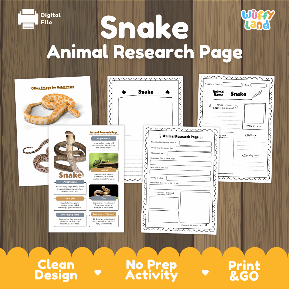 Snake Animal Research Page Worksheets and Fact Sheet