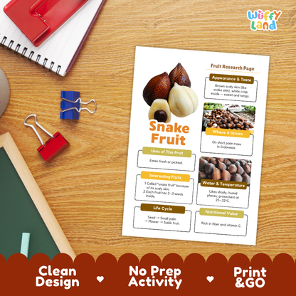 A printed educational poster about snake fruit lies on a wooden desk, surrounded by school supplies including a spiral notebook, binder clips, a chalkboard, and a red notebook. The poster has colorful text blocks, fruit photos, and a white background.