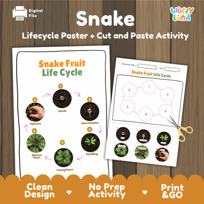 Snake Fruit Life Cycle Poster and Cut and Paste Activity Worksheets