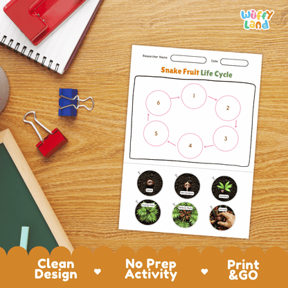 Snake Fruit Life Cycle Poster and Cut and Paste Activity Worksheets