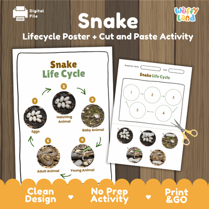 Snake Lifecycle Poster and Cut and Paste Activity Worksheets | Reptile Science Printables
