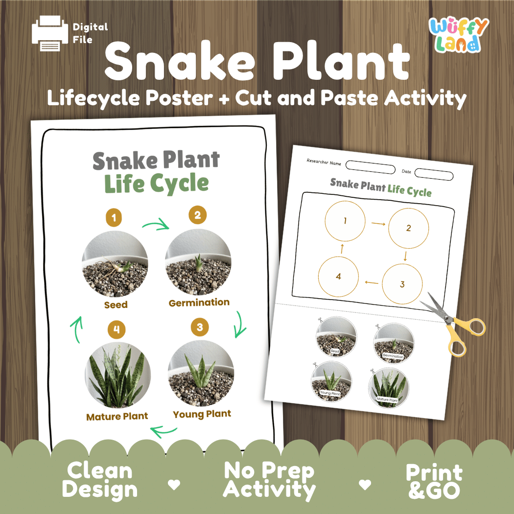 Snake Plant Life Cycle Poster and Cut and Paste Worksheet Activity