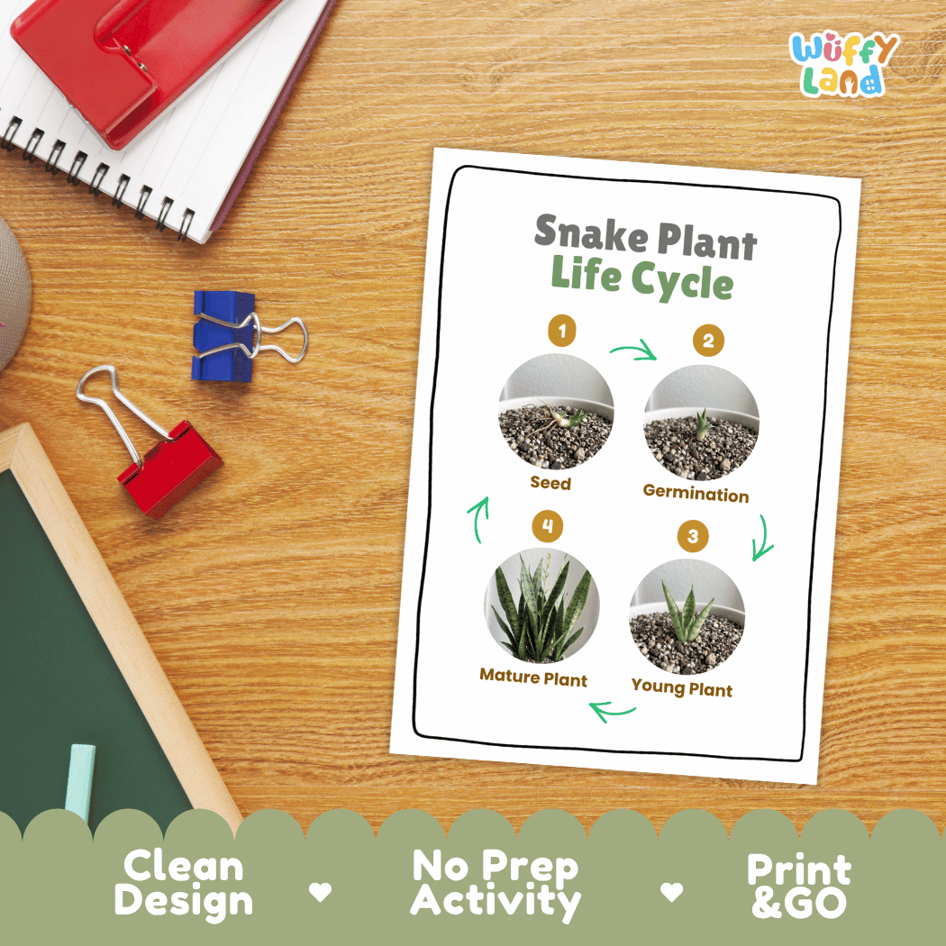 Snake Plant Life Cycle Poster and Cut and Paste Worksheet Activity