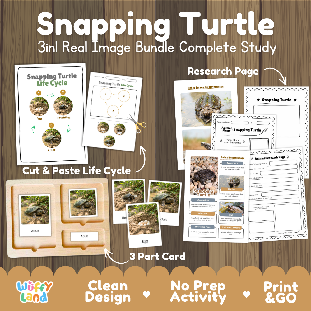 Snapping turtle 3-in-1 real image bundle complete study cover showing cut and paste life cycle, 3 part cards, and research pages