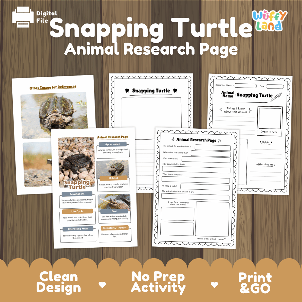 Snapping Turtle Animal Research Worksheets and Informational Fact Sheets