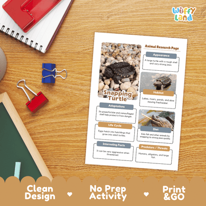 Snapping Turtle Animal Research Worksheets and Informational Fact Sheets