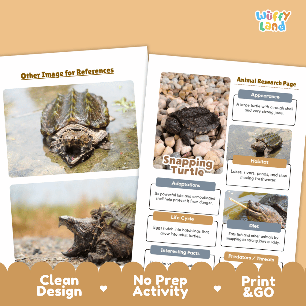 Snapping Turtle Animal Research Worksheets and Informational Fact Sheets