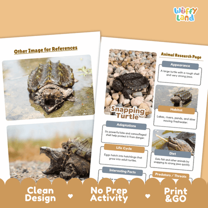 Snapping Turtle Animal Research Worksheets and Informational Fact Sheets