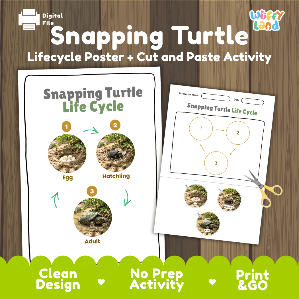 Snapping Turtle Life Cycle Poster and Cut and Paste Activity Worksheet
