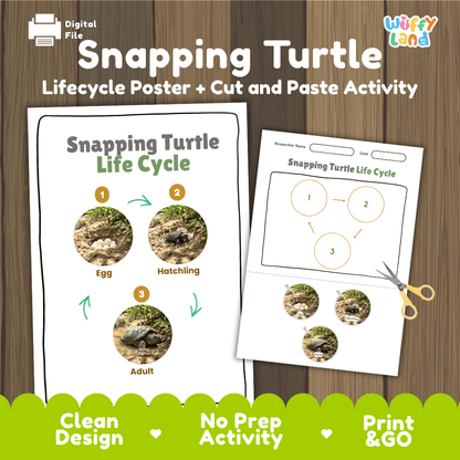 Snapping Turtle Life Cycle Poster and Cut and Paste Activity Worksheet