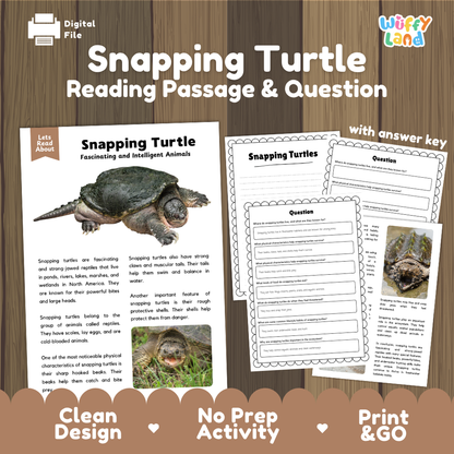 Snapping Turtle Reading Passage and Comprehension Questions with Answer Key
