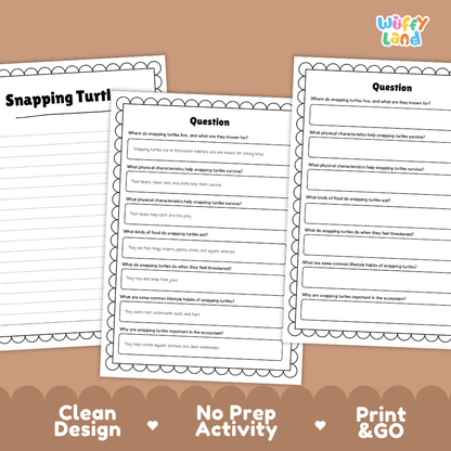 Snapping Turtle Reading Passage and Comprehension Questions with Answer Key