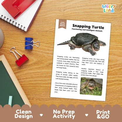 Snapping Turtle Reading Passage and Comprehension Questions with Answer Key