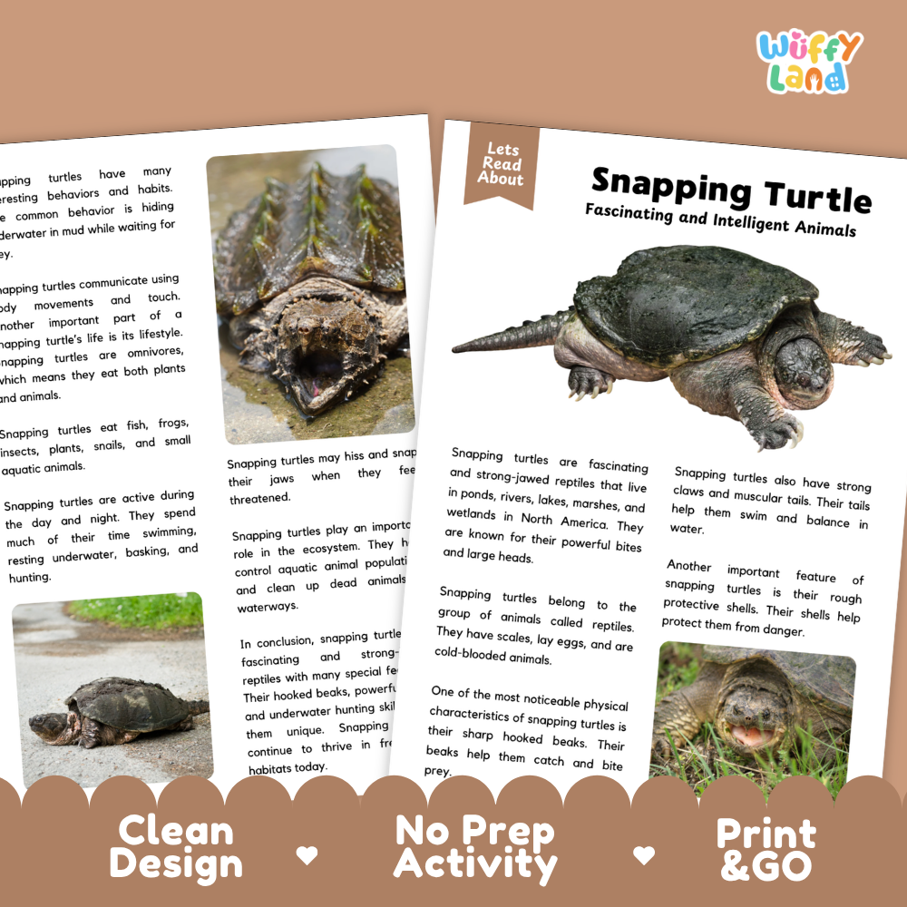 Snapping Turtle Reading Passage and Comprehension Questions with Answer Key