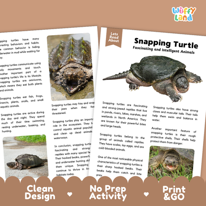 Snapping Turtle Reading Passage and Comprehension Questions with Answer Key