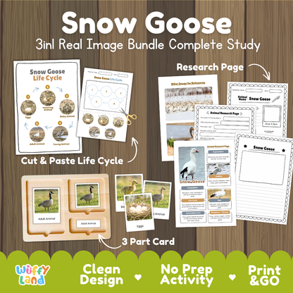 Snow goose 3-in-1 real image bundle complete study cover showing cut and paste life cycle, 3 part cards, and research pages