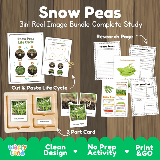 Snow peas 3in1 real image bundle complete study printable featuring life cycle cut and paste worksheets, Montessori 3-part cards, and research pages