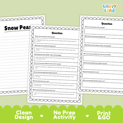 Informational reading passage page detailing snow pea plant anatomy flat edible pods climbing vine growth and cooking uses with photos
