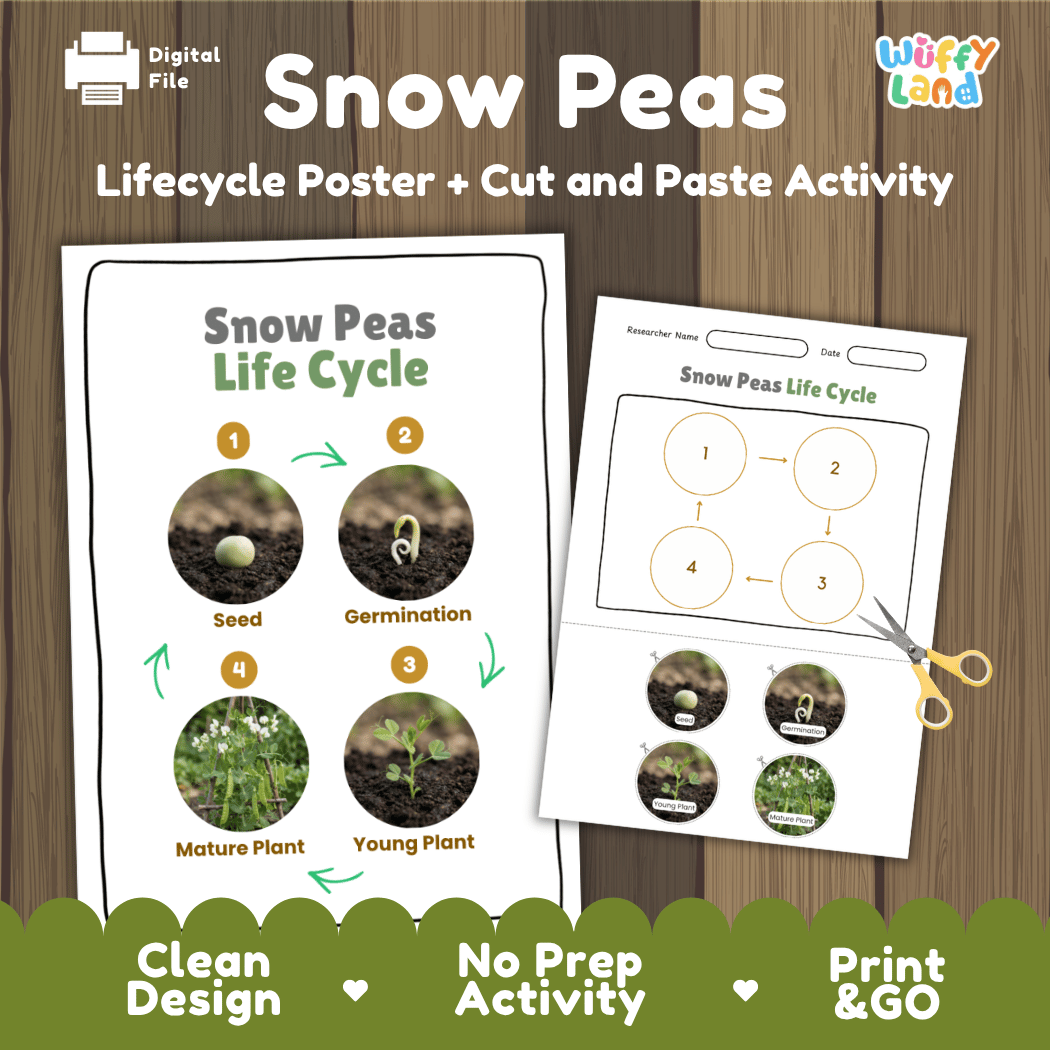 Snow peas plant life cycle educational printable pack cover showing visual reference poster and cut and paste sequencing worksheet with real photography
