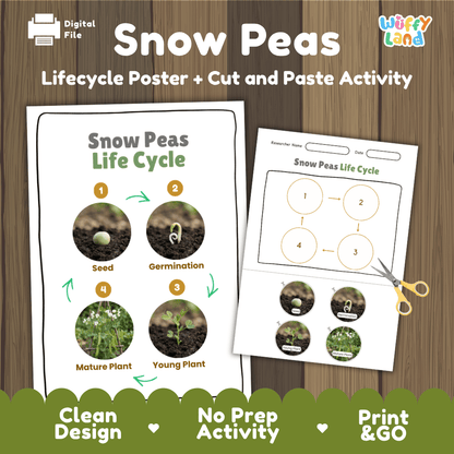 Snow peas plant life cycle educational printable pack cover showing visual reference poster and cut and paste sequencing worksheet with real photography