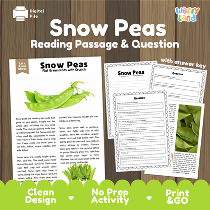 Snow peas reading comprehension passage and questions printable activity pack with answer key for elementary students