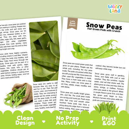 Teacher answer key page showing complete question solutions for snow peas reading comprehension practice