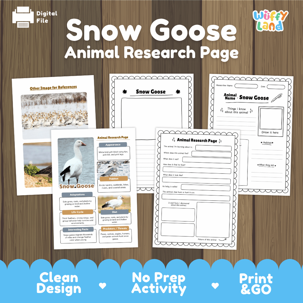 Snow Goose Animal Research Worksheets and Informational Fact Sheets