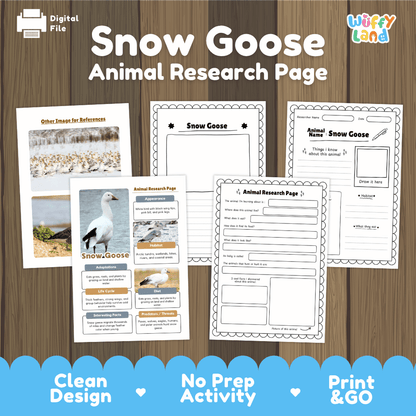 Snow Goose Animal Research Worksheets and Informational Fact Sheets