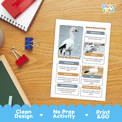 Snow Goose Animal Research Worksheets and Informational Fact Sheets