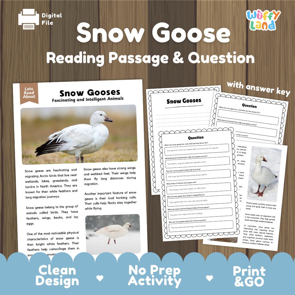 Snow Goose Reading Passage and Comprehension Questions Worksheets with Answer Key