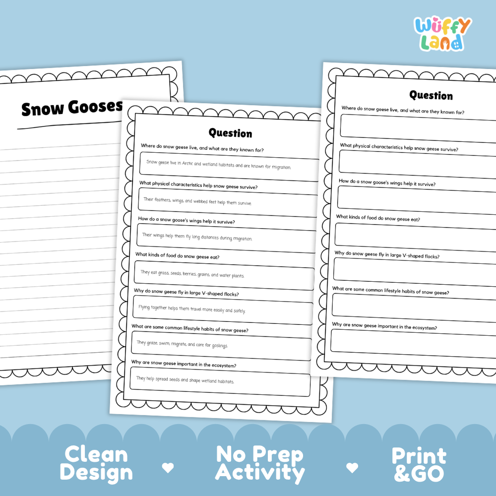 Three printable worksheet pages about snow goose facts are shown on a light blue background with promotional text reading 'Clean Design', 'No Prep Activity', and 'Print & Go'. The worksheets have a white page background, black border, and black headings, with blue and gray text.