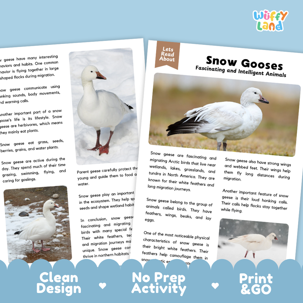 Snow Goose Reading Passage and Comprehension Questions Worksheets with Answer Key