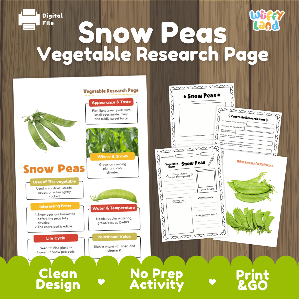 Snow Peas Vegetable Research Worksheets and Informational Fact Sheets
