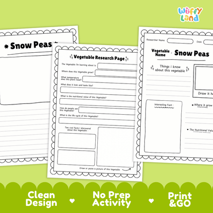Snow Peas Vegetable Research Worksheets and Informational Fact Sheets