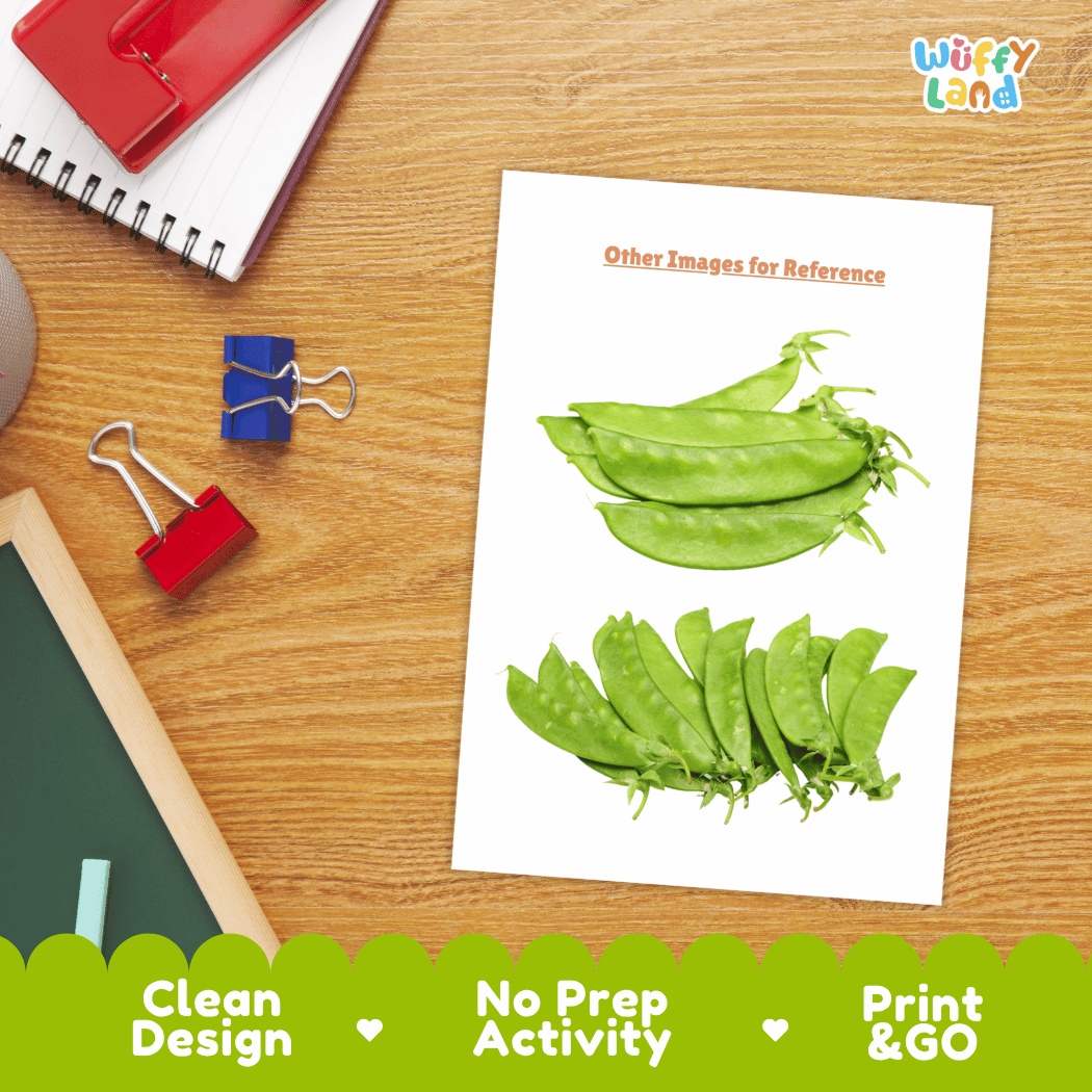 Snow Peas Vegetable Research Worksheets and Informational Fact Sheets
