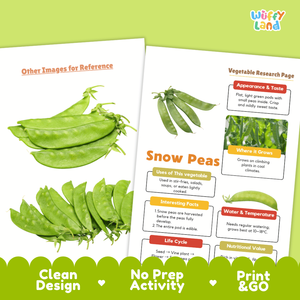 Snow Peas Vegetable Research Worksheets and Informational Fact Sheets