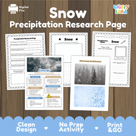 Snow Precipitation Research Page Worksheets Weather Science Activity